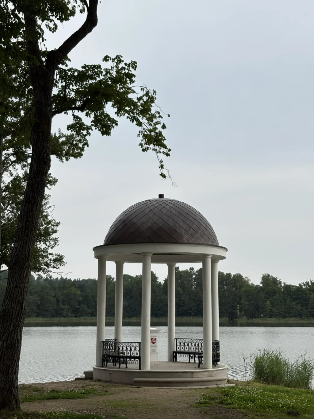 Img 3708